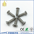 ss304 phillips pan head self tapping screw